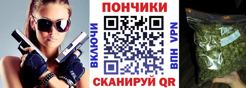 Конопля сатива  где найти   Олёкминск 